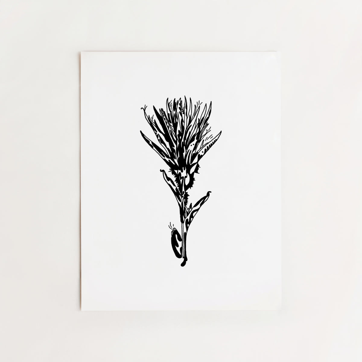Alberta Plants