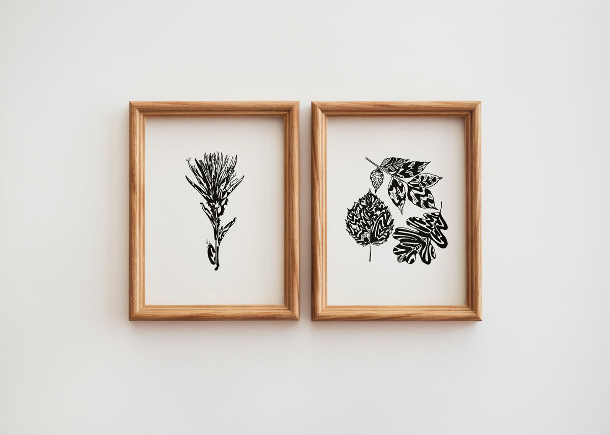 Alberta Plants