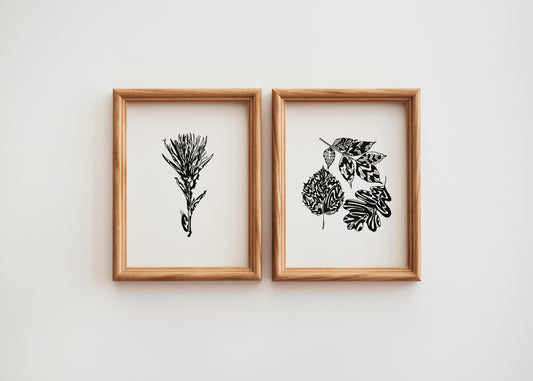 Alberta Plants