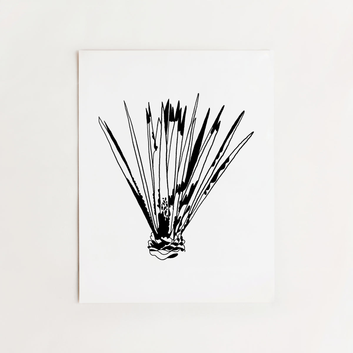 Aloe