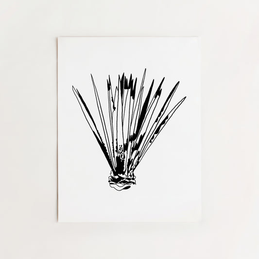 Aloe